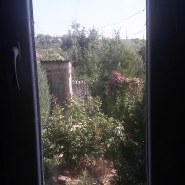 Window to the garden