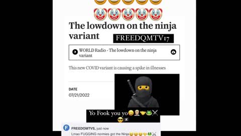 Ninja variant