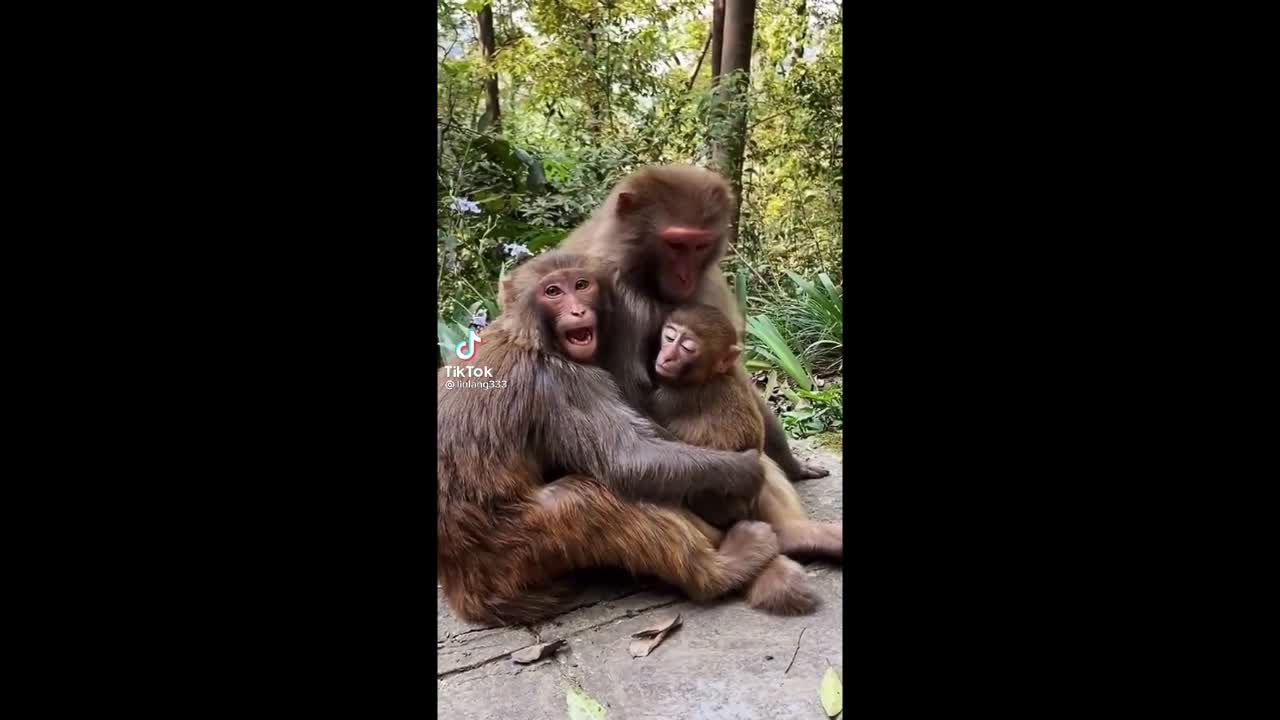 #Cute & Funny Animals