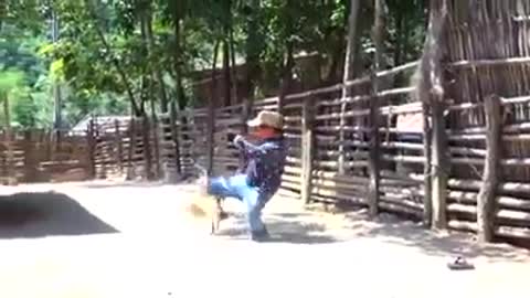 Enano luchador jajajaja