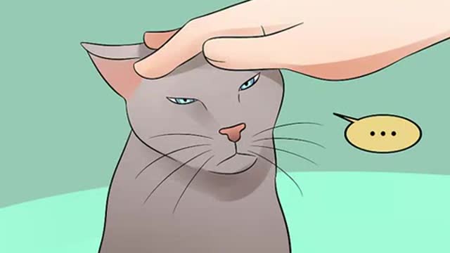 !!!How to help your depressed cat!!....