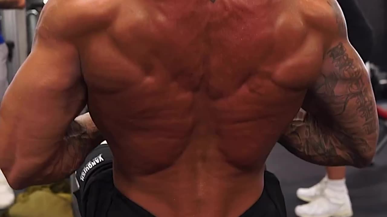 Back Gain Exercises