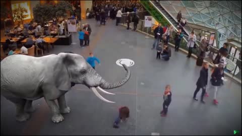 AMAZING VIDEO
