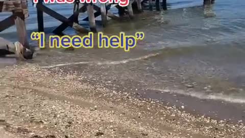 Funny meme #23