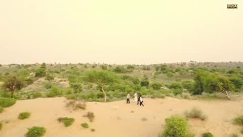 BIJLI ROCKY MARWADI