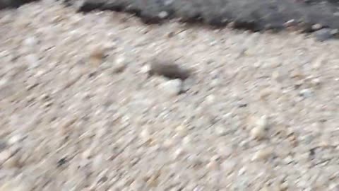 Nature Rocks! Mammoth Pools CA Getting Out In Nature!