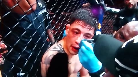 Brandon Moreno Vs Brandon Royval