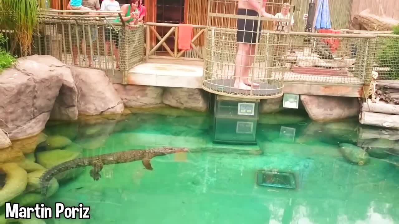 he jumped without seeing the shark. (BIG MISTAKE).mp4