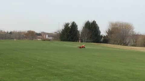 Mike's FEJ F-15
