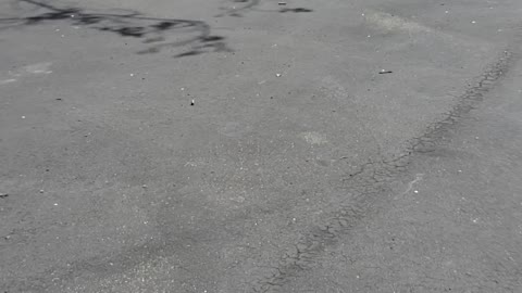Test video milo