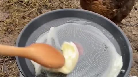 Funny Videos #1: 😁😁Please Follow and Watch until End😁😁