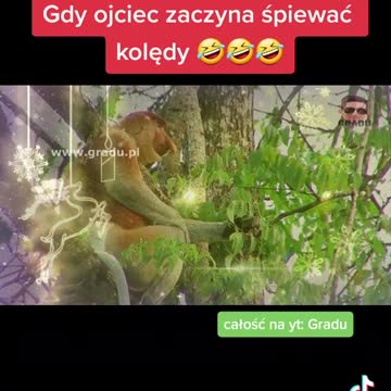 gdy ojciec zaczyna śpiewać kolędy