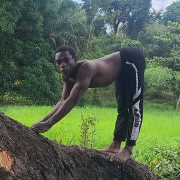 কিভাবে গাছের সাথে ব্যায়াম করতে হয় দেখুন 🏋️🧘🔥💯#shorts #reels #viral