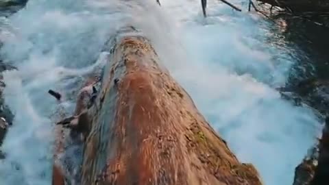 Beauty of Nature