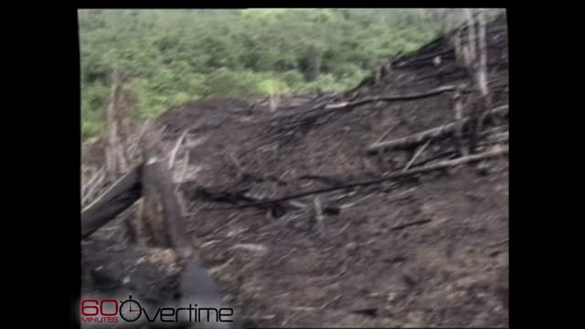 60 Minutes clip: Hunting viruses - Peter Daszak (2004)