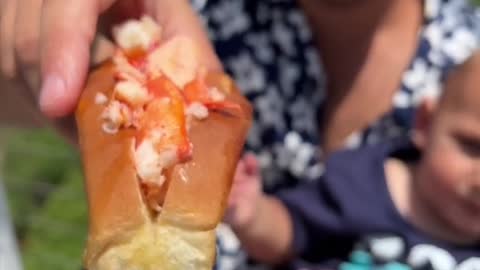 Crawfish Fries Rolls