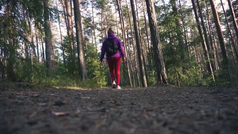 The forest cinematic video.