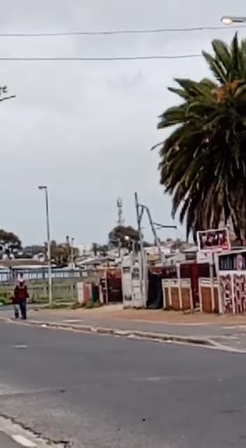 Skelms are oppie paal