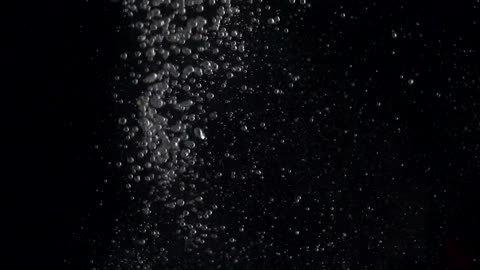 Bubbles rising in water