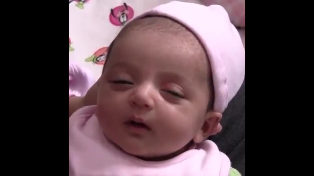 Try not to find it cute