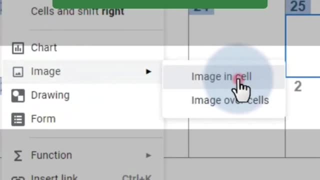 Insert an image in a cell in google sheets | Things sheets can do better than excel