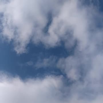 The sky and the sounds of my animals and crows, a quiet day in the countryside!