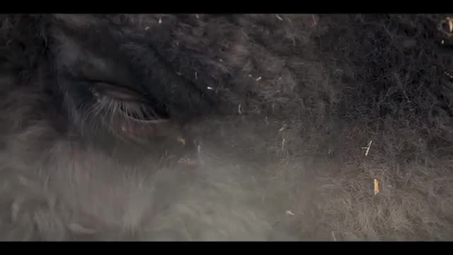 TATANKA -- Cinematic GH5 Test