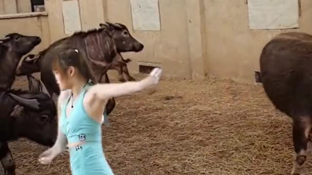 funny #funny video#Must watch new funny comedy videos 2022 best amazing funny comedy