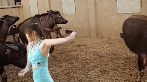 funny #funny video#Must watch new funny comedy videos 2022 best amazing funny comedy