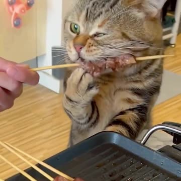 Me. At every BBQ get together 😊👍