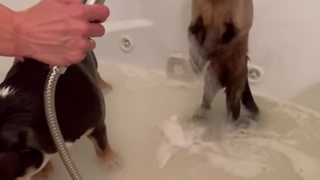 Bath time!