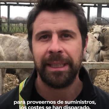 Crisi dell'industria zootecnica italiana a causa del conflitto in Ucraina,I costi nel settore sono saliti causando una profonda crisi economica di gravi conseguenze che ha portato, finora, alla chiusura del 25% delle aziende del settore.