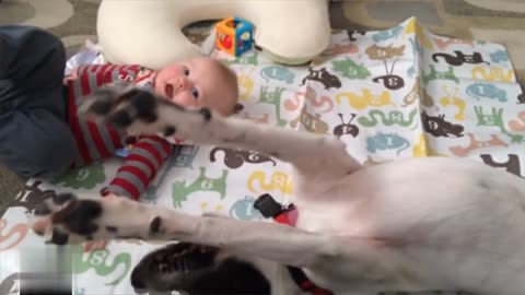 #funny,Cute Babies Playing with Funny Dogs - Baby and Pets __ Cool Peachy