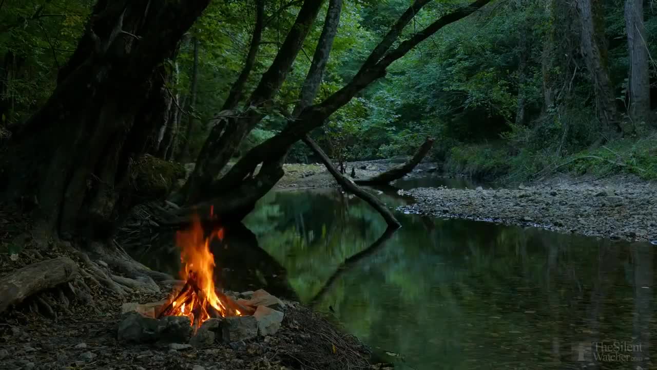 Relaxing sounds of Campfire by the river, sounds of nature