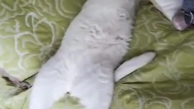 Sleeping with an open legs