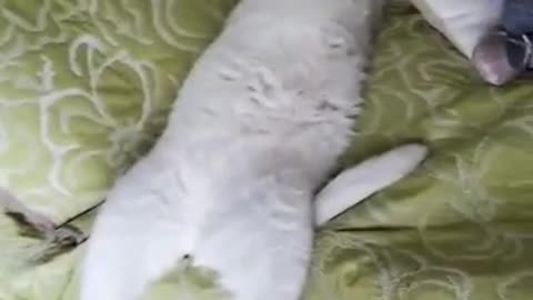 Sleeping with an open legs