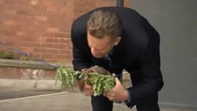 Tortoise opening the new science lab at the University of Lincoln