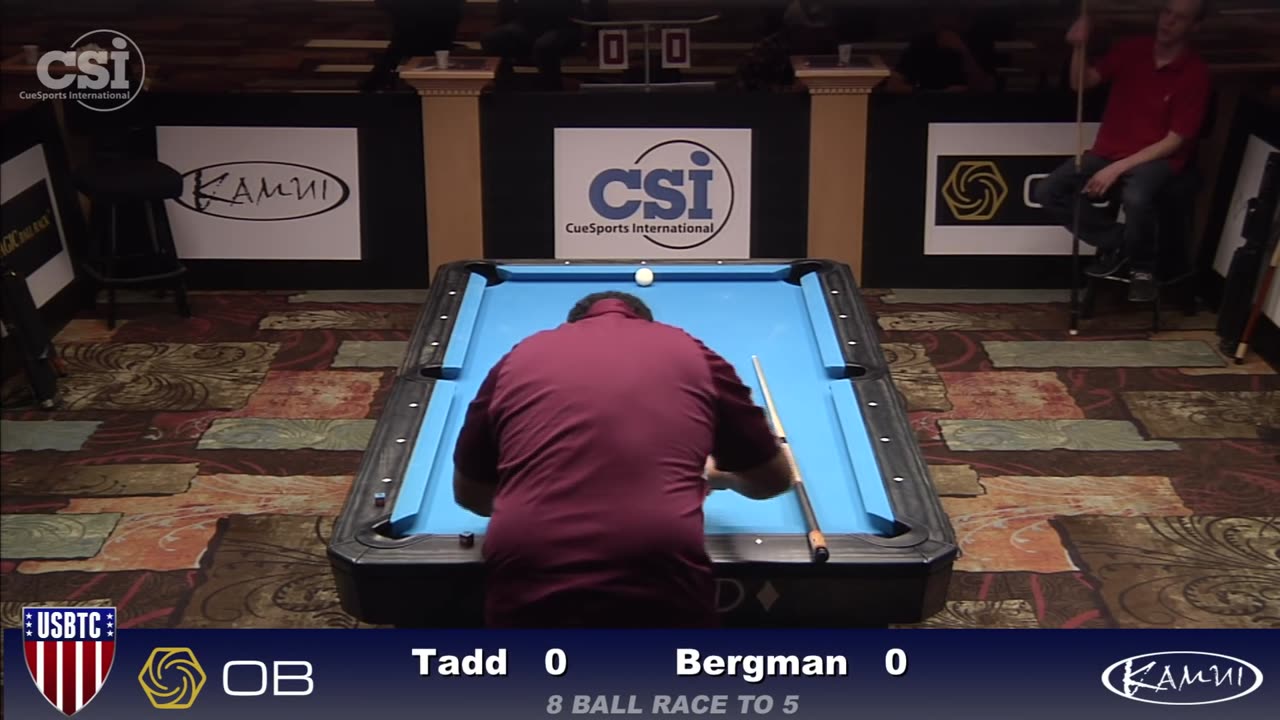 Tadd vs Bergman ▸ 2015 US Bar Table 8-Ball Championship