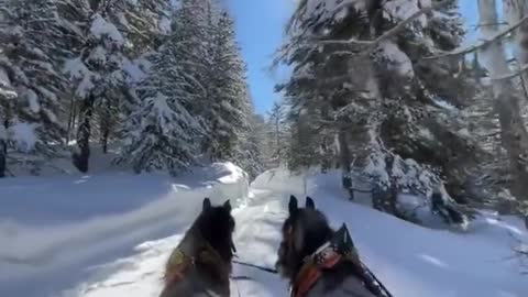 Horse riding in Switzerland