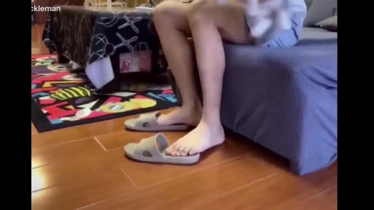 Cute kittens and puppies