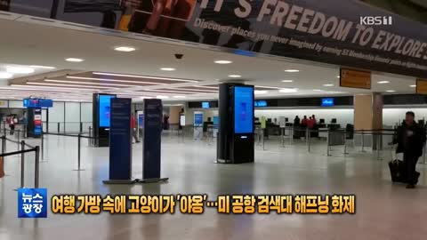 [글로벌K] 여행가방 속에 고양이가 ‘야옹’…미 공항 검색대 해프닝 화제 KBS 2022.12.08