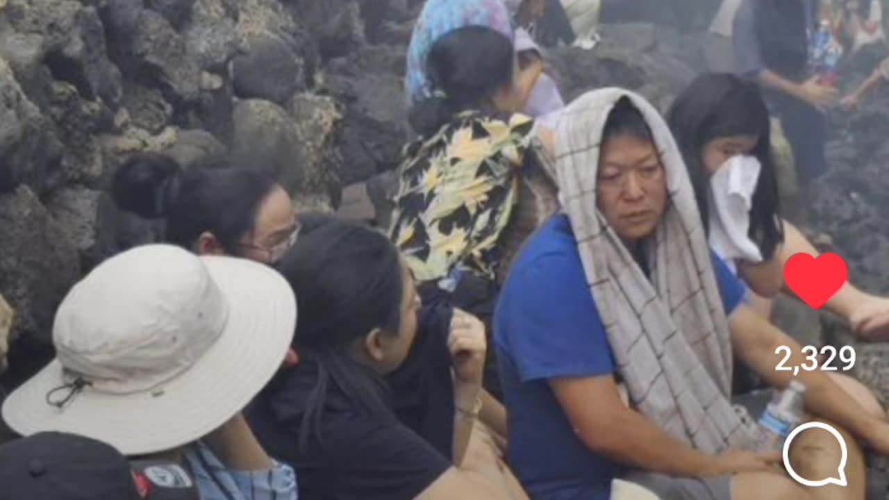 Seeking Shelter In The Ocean