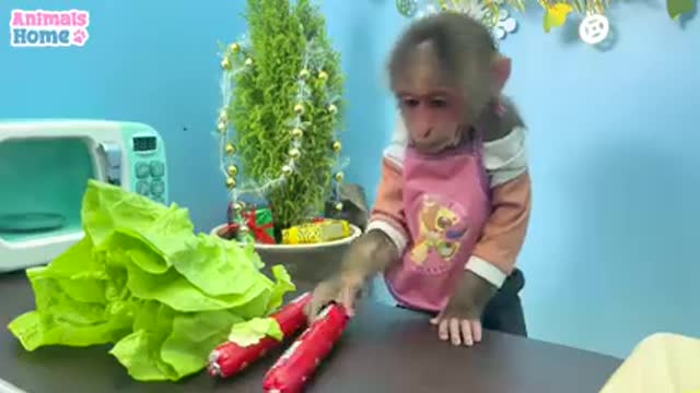 Monkey cocking expert