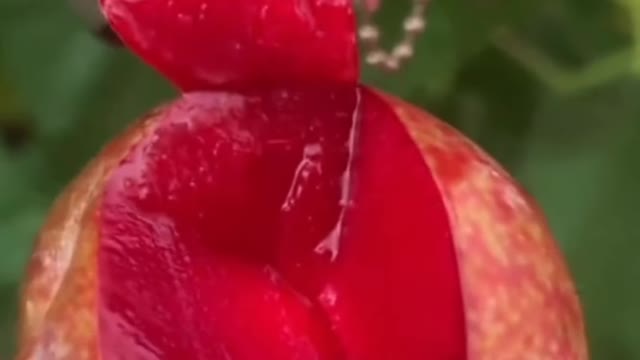 Fruits Video Farm Fresh Ninja Fruit Cutting Satisfying Fruit | Amazing Fruits Video #fruits #short