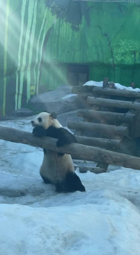 Thank God It’s Friday 🤣