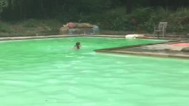 Double jump in pool
