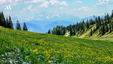 Isha Relax Music Sounds Of Isha Sadhguru Yoga Music Minimalis