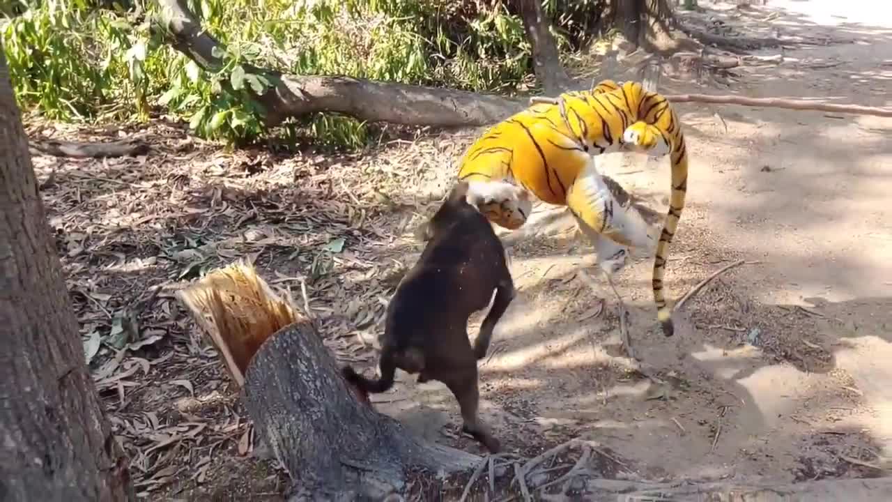 Wow Nice Prank!!! Fake Tiger Prank Dog So Very Funny Try To Stop Laugh Challenge