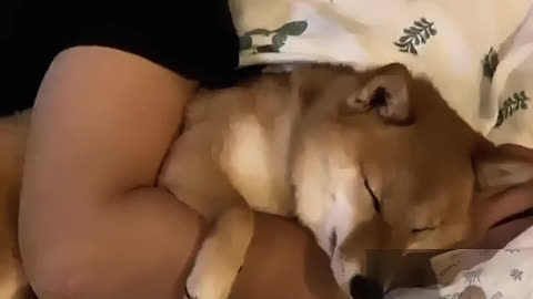 Hug and sleep together