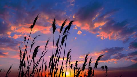 2: The beauty of the evening sun